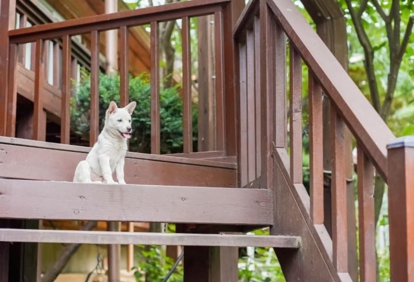 Gapyeong Belita Pension