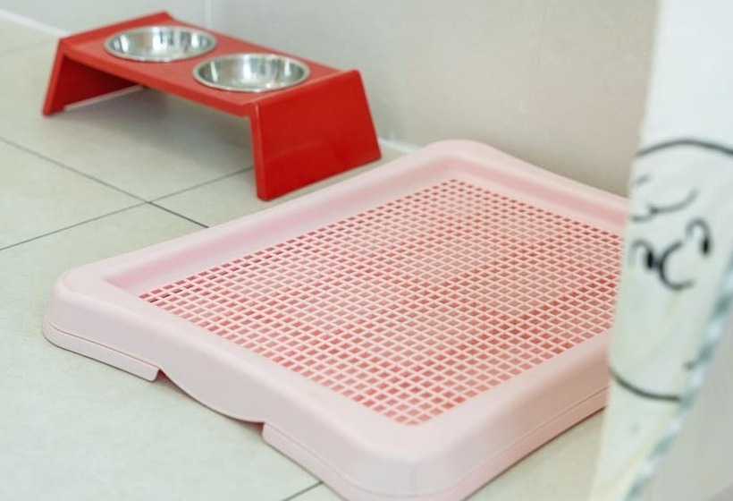 Gapyeong Beilli Pet Pool Villa Pension