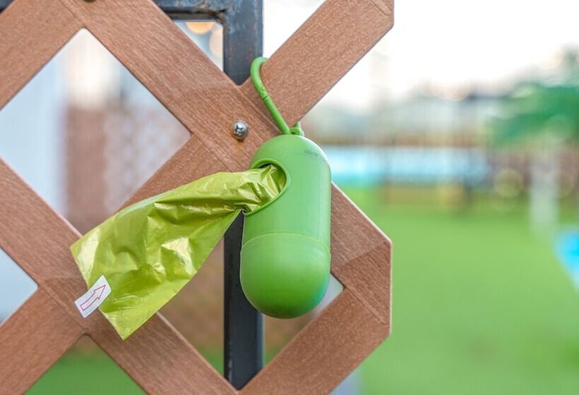 Gapyeong Beilli Pet Pool Villa Pension