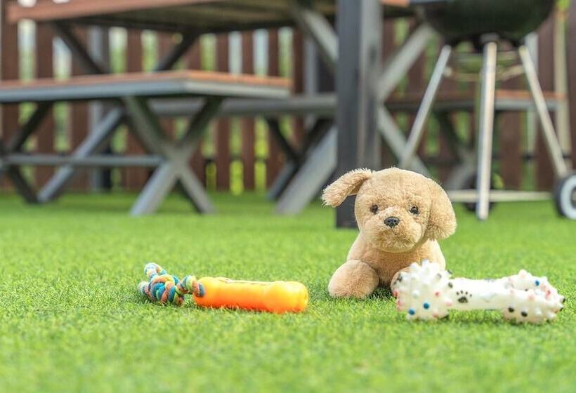 Gapyeong Beilli Pet Pool Villa Pension