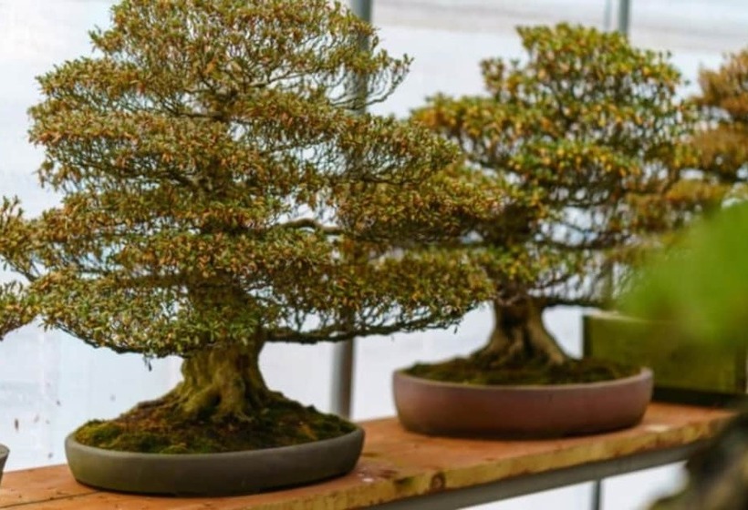 Gapyeong Suryuhwagaewon Pension