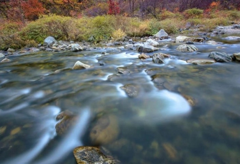 Gapyeong Suryuhwagaewon Pension