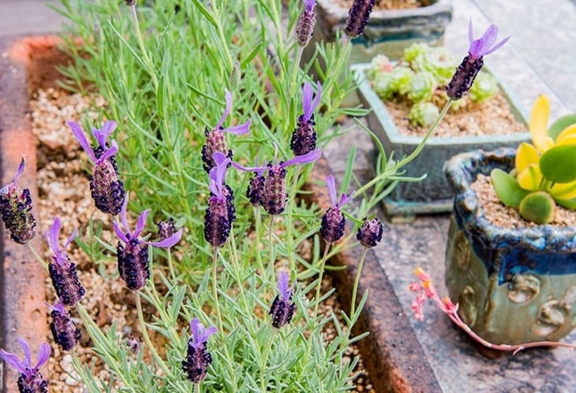 Geojedo Namsukine Pension