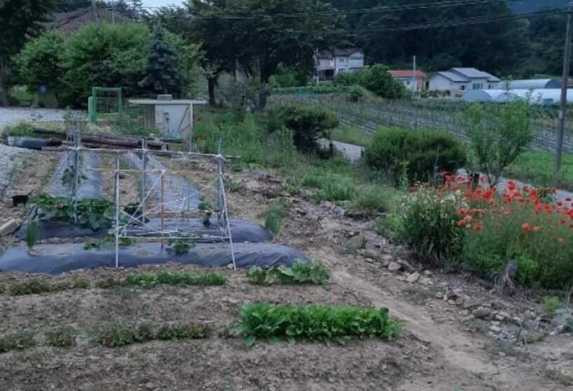 Goesan Byeolbitsanmagi Pension