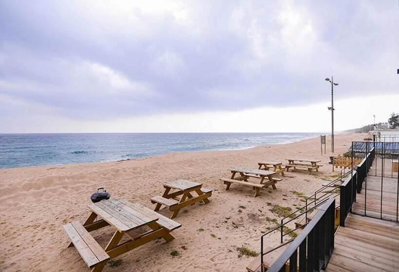 Goseong Badae Banhada Pension