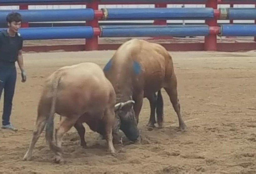 Gyeongsan Byeolgwan Pension
