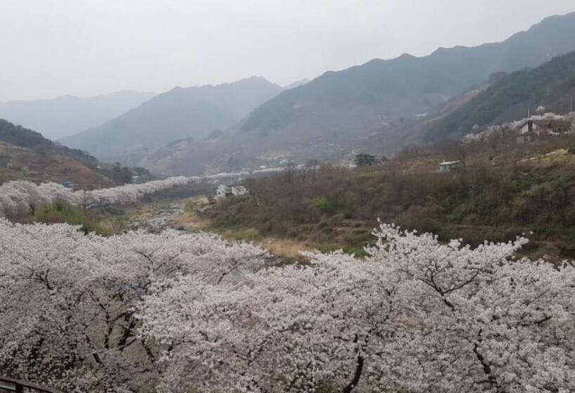 Hadong Monggeul Monggeul Pension