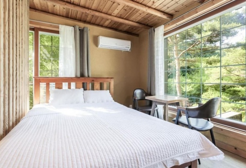 Hongcheon Fiction House Pension