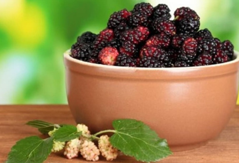 Hongcheon Gamjatown Pension