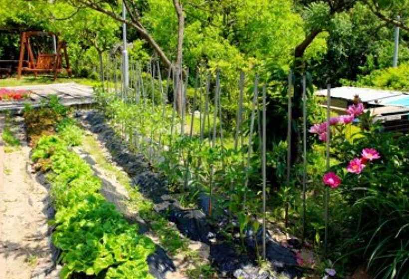 Hongcheon Gamjatown Pension