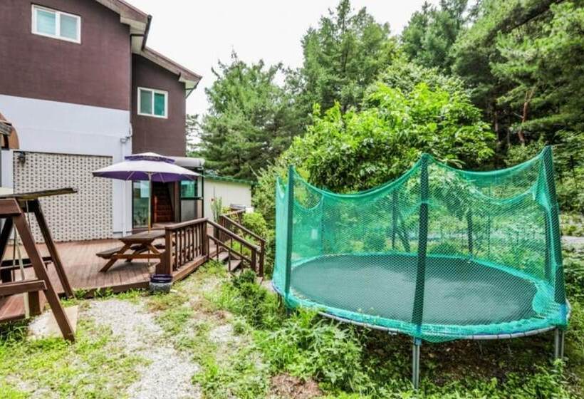 Hongcheon Tteul Pension