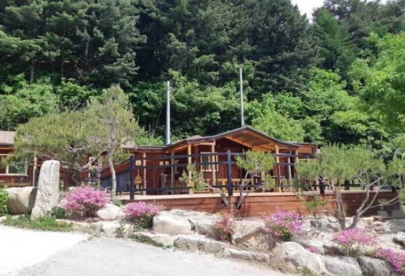 Hwacheon Bongori Tongnamujip Pension