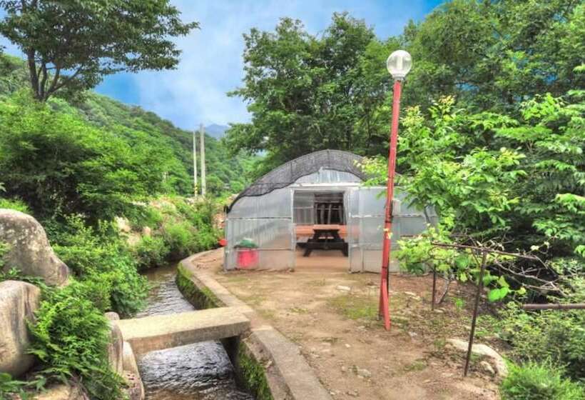 Inje Solbathwangto Pension