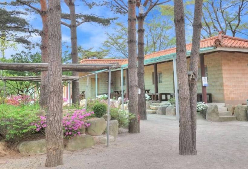 Inje Solbathwangto Pension