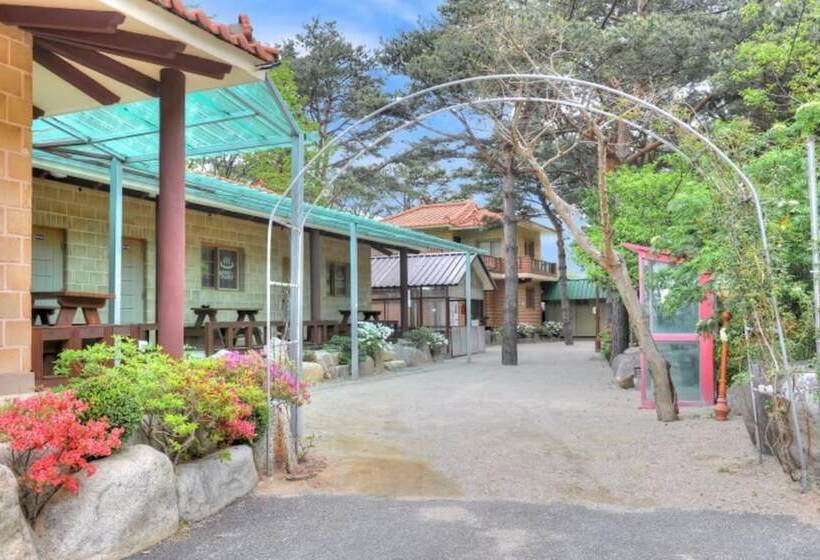 Inje Solbathwangto Pension