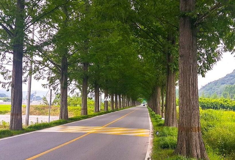 Jangseong Pyeonbaeksup Hwangto Pension