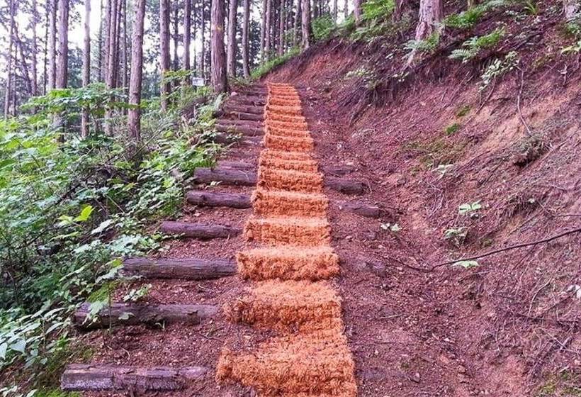 Jangseong Pyeonbaeksup Hwangto Pension