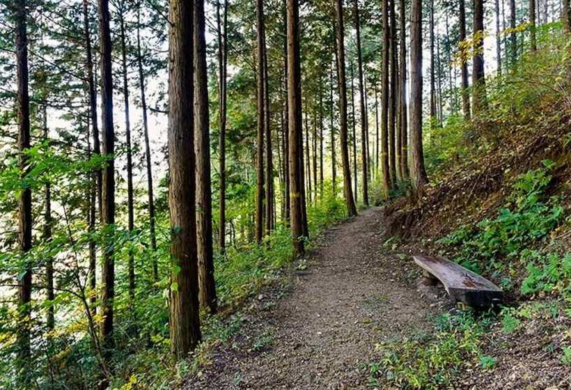 Jangseong Pyeonbaeksup Hwangto Pension