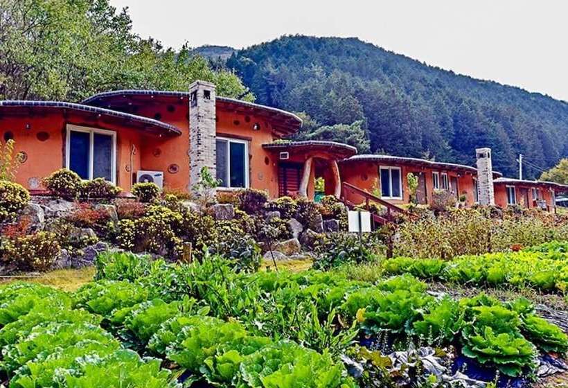 Jangseong Pyeonbaeksup Hwangto Pension