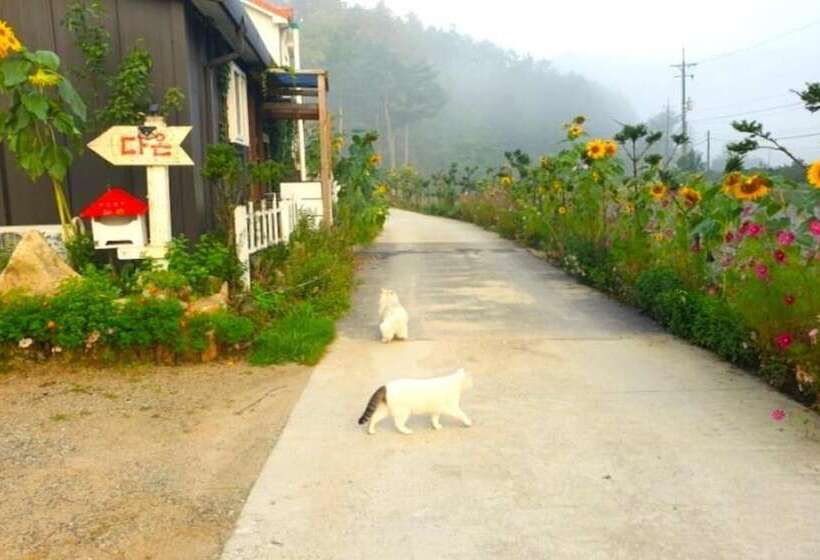 Jeongseon Daon Pension