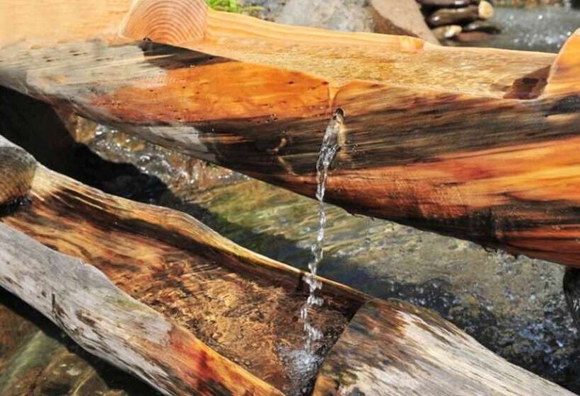 Jeongseon Into The Nature Pension