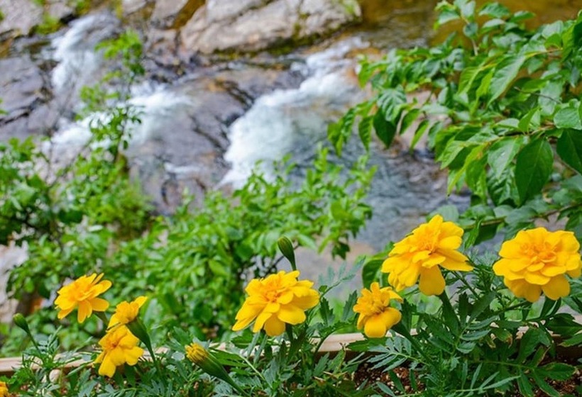 Jinan Demisem Pension