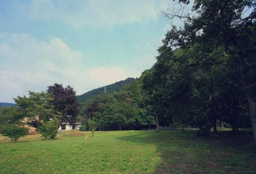 Damyang Maple Pension