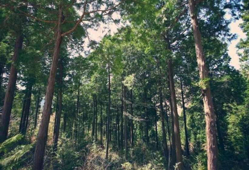 Damyang Maple Pension