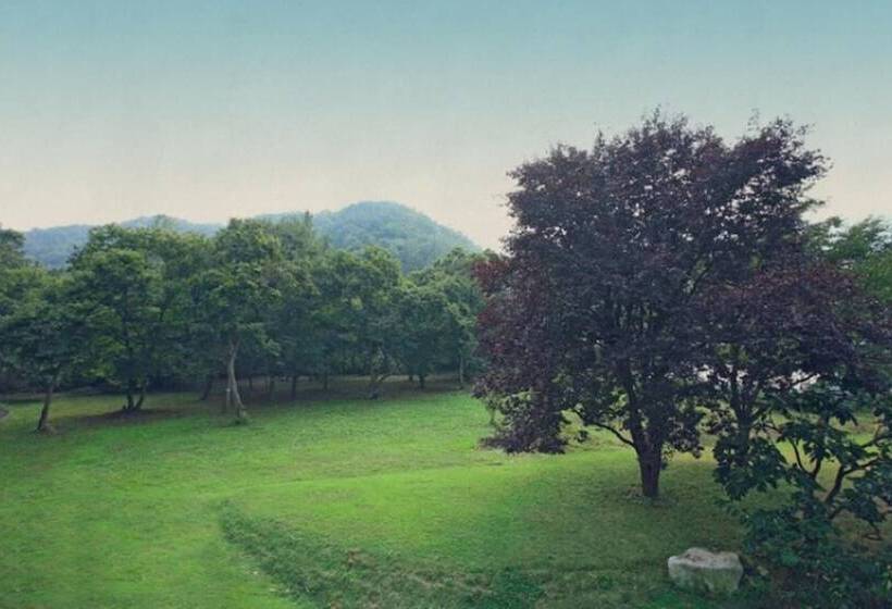 Damyang Maple Pension