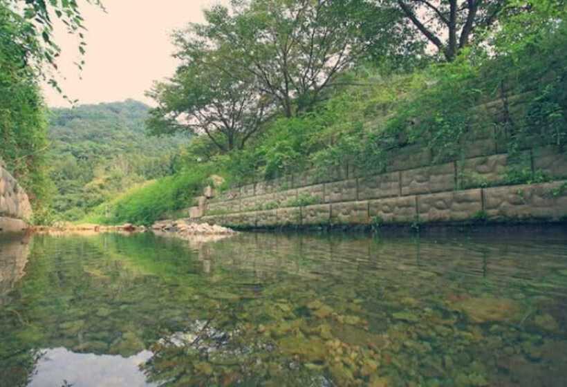 Damyang Maple Pension