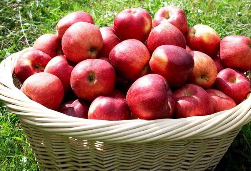 Miryang Eoleumgol Hanok Pension