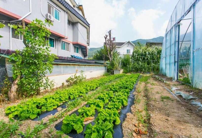 Muju Rainbow Pension