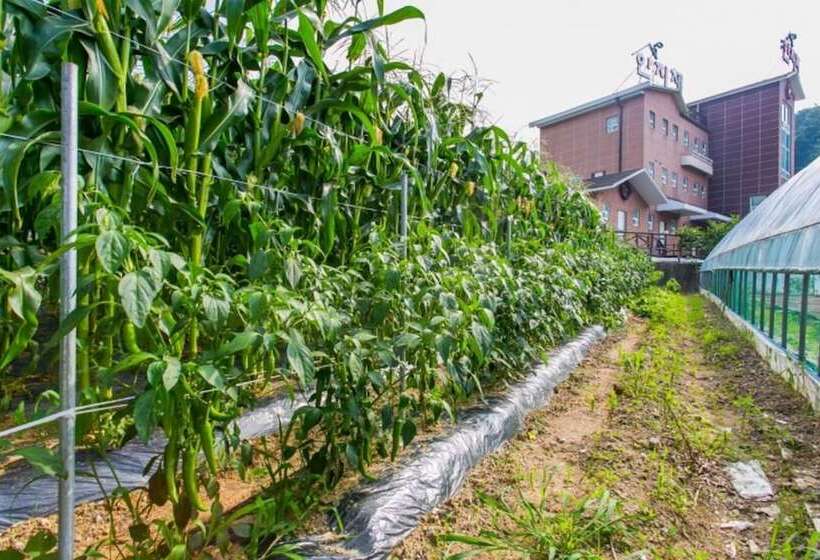 Muju Rainbow Pension