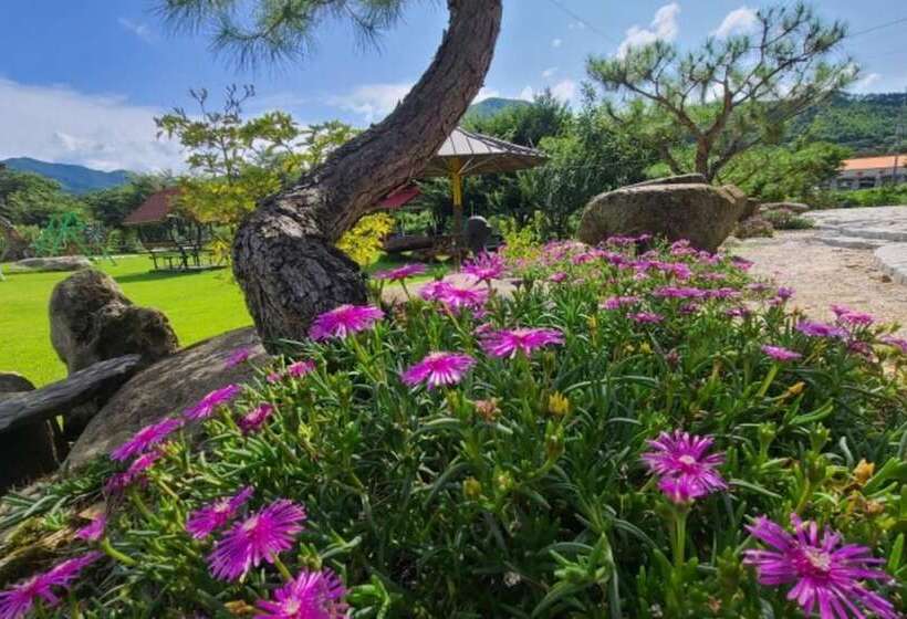 Muju Windmills And Streams Pension