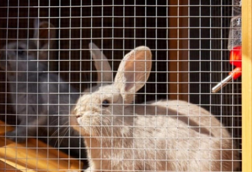 Namhae German Village Hercules Pension