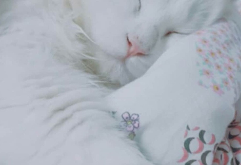 Namhae Jun Stay Pension