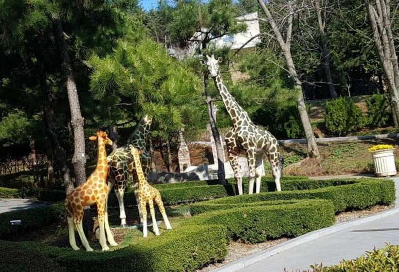 Namhae Seokbujak Jeongwon Pension