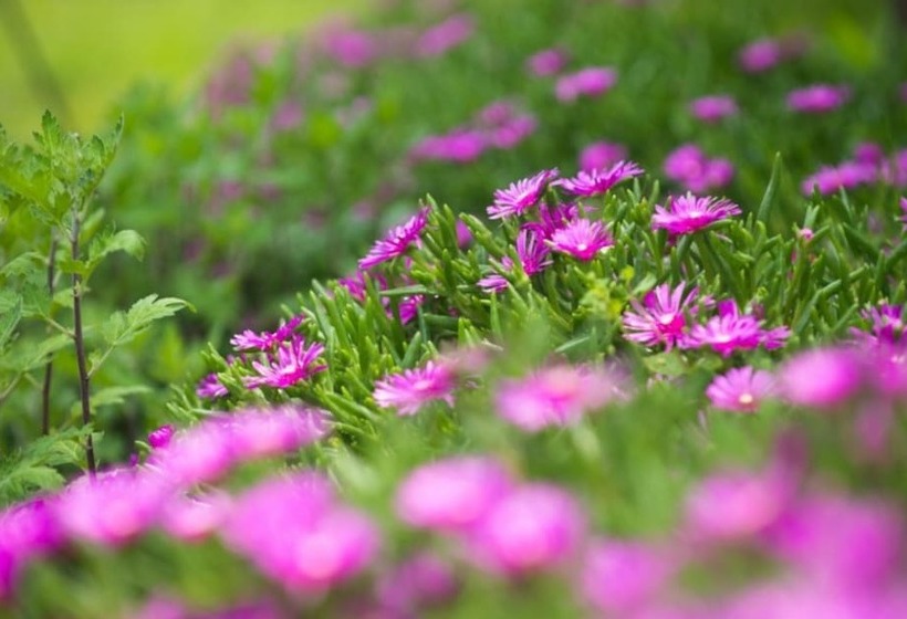 Namhae Skyblue Sea Pension