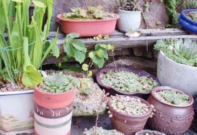 Namwon Kids Pool Villa Woorine Pension