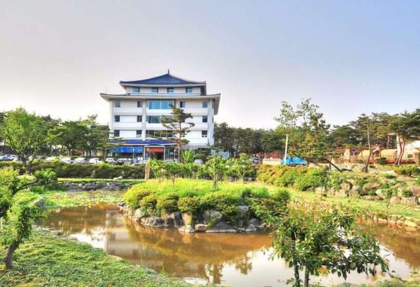 Sokcho Olive Spa Pension