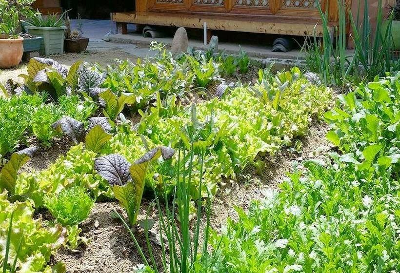 بنسيون Andong Guesthouse Sean