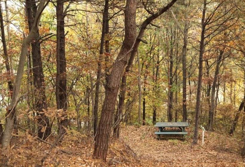 פנסיון Buye Glamping Pan