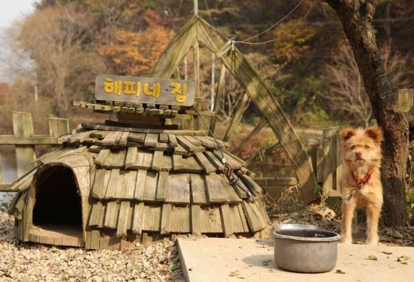 פנסיון Buye Glamping Pan