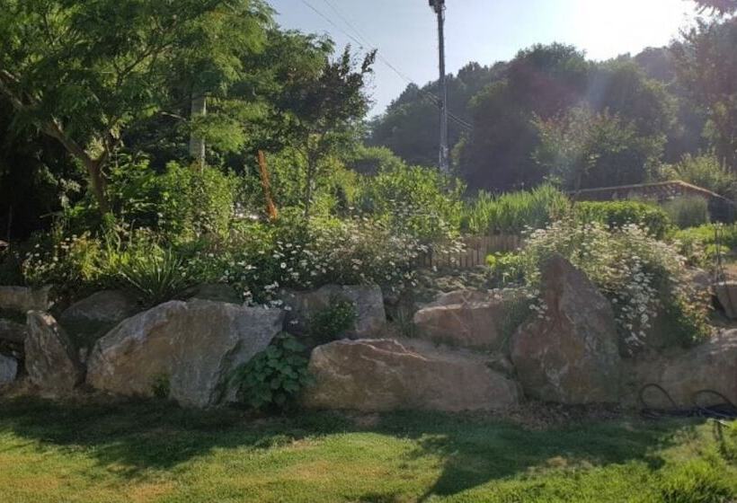 פנסיון Buye Glamping Pan