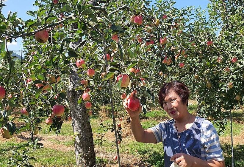 펜션 Chungju Wildflowers And Gotaengnadeuri