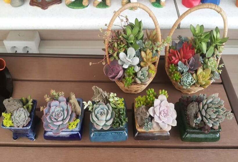 펜션 Chungju Wildflowers And Gotaengnadeuri