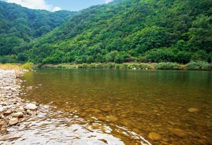 Пансион Danyang Pine Caravan Camping