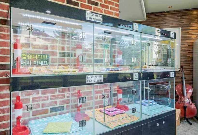 膳宿费 Gapyeong Michelle Pool Villa