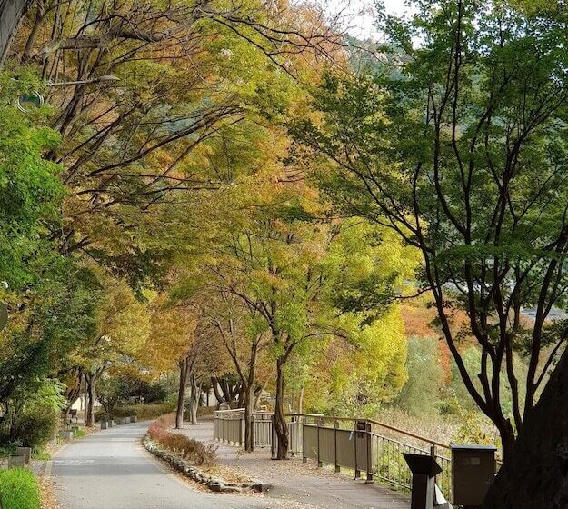 פנסיון Jeonju Oraedoenmirae Guest House