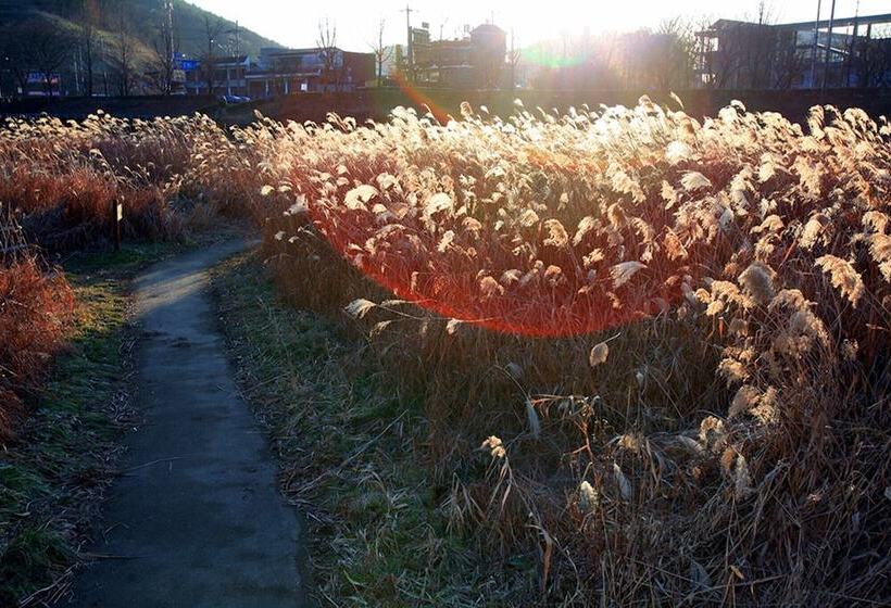 פנסיון Jeonju Oraedoenmirae Guest House